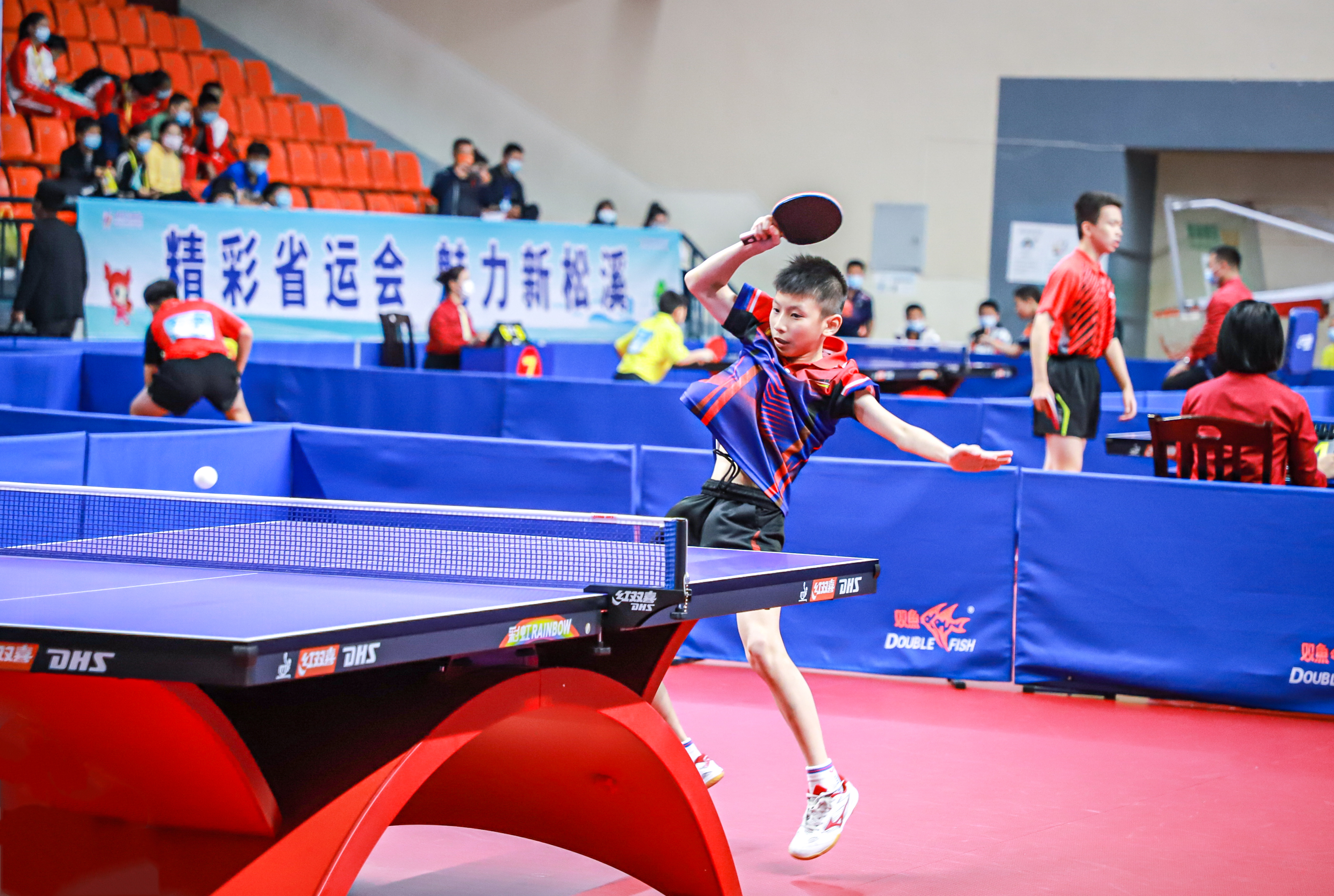 【头条】索菲·希纳斯赢得环球马术冠军赛布拉格季后赛1.50米级别比赛冠军（索菲·希纳斯问鼎环球马术冠军赛布拉格季后赛1.50米级别冠军）